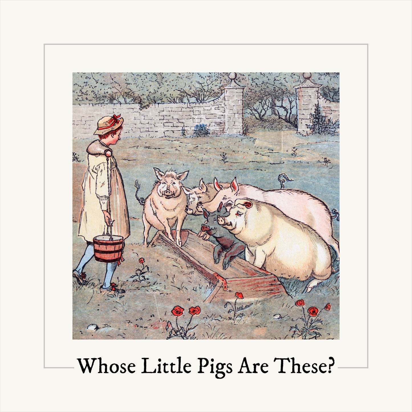 Whose Little Pigs Are These?